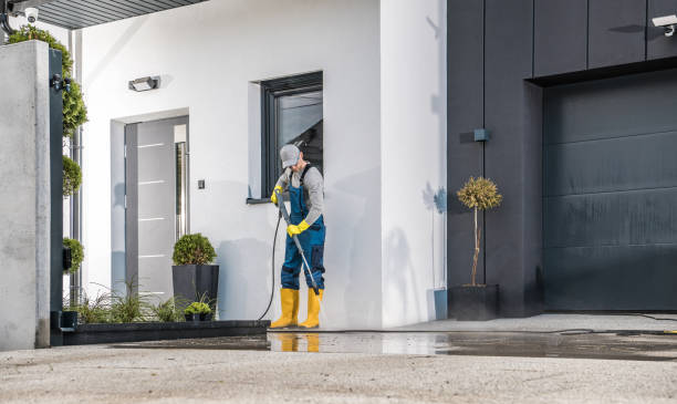 Boat and Dock Cleaning in St Bonifacius, MN